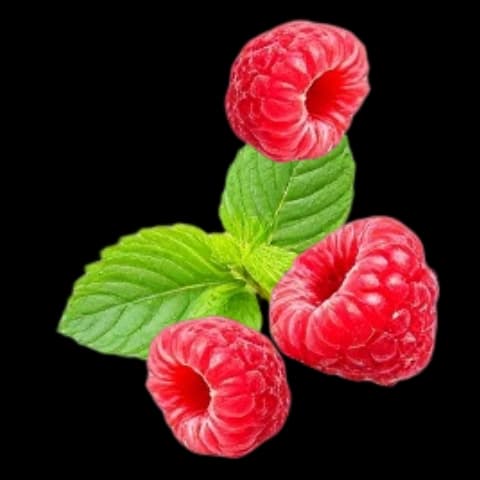 Decorative image